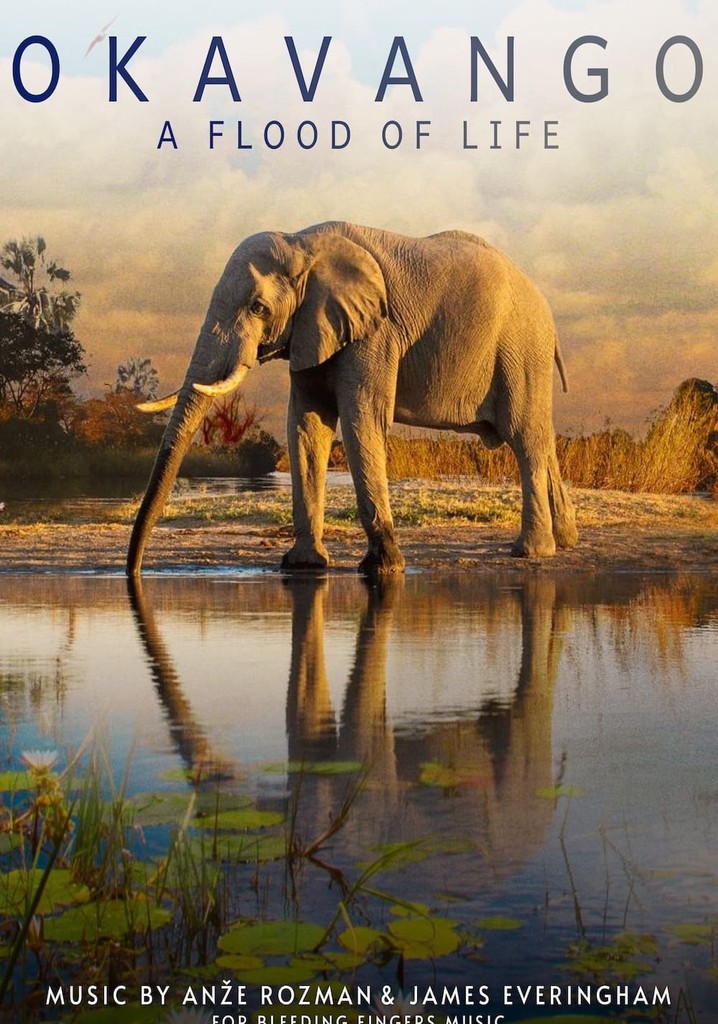 Okavango: A Flood of Life