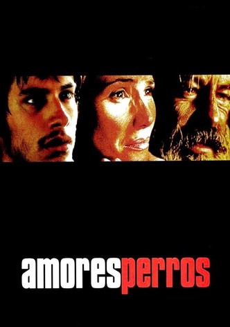 Amores perros - Von Hunden und Menschen