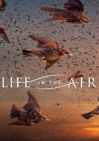 SuperNature: Wild Flyers