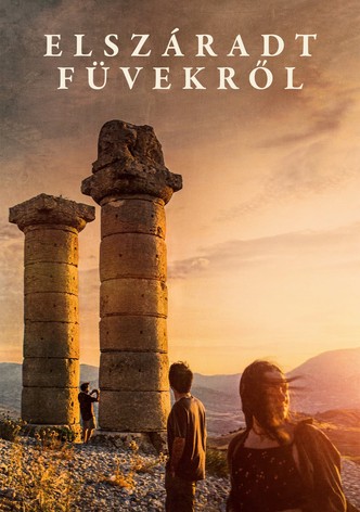 Elszáradt füvekről