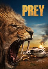 Prey streaming where to watch movie online