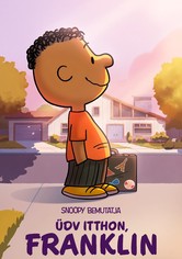 Snoopy bemutatja: Üdv itthon, Franklin