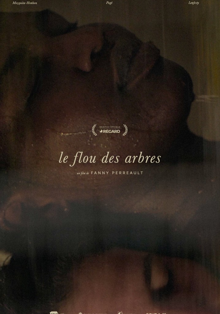 The Blurring Of Trees