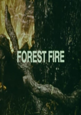 Your Chance to Live: Forest Fire