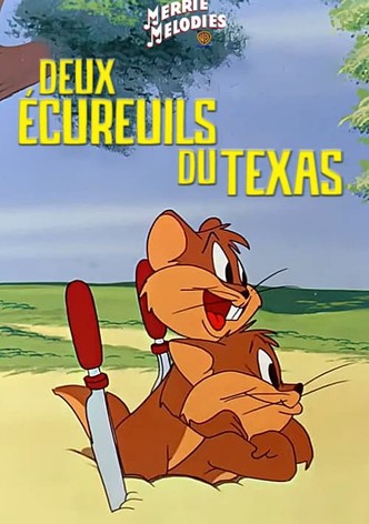 Deux écureuils du Texas