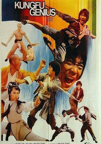 Le génie du kung fu