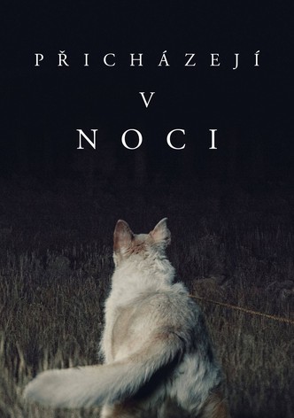 Přicházejí v noci