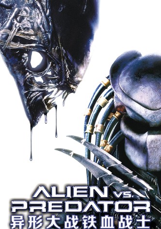 异形大战铁血战士