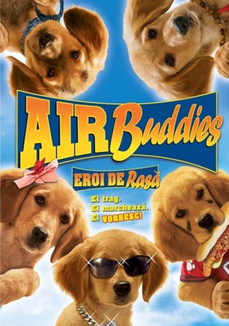 Air Buddies