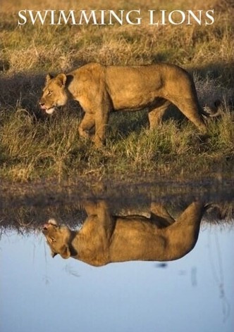 Swimming Lions