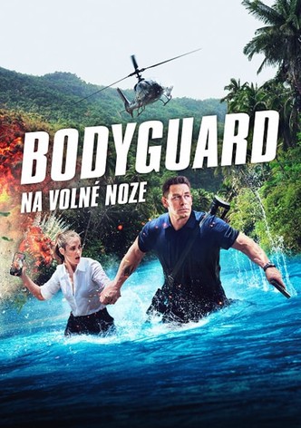 Bodyguard na volné noze