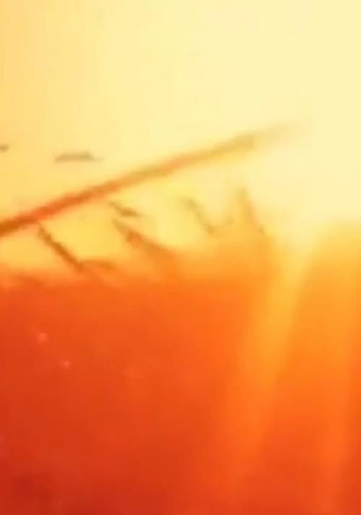 Venezia 70 – Future Reloaded: Isabel Coixet