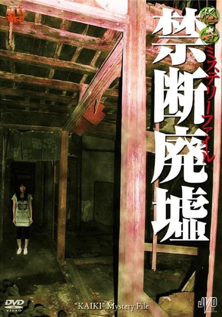 Bizarre Mystery File: Forbidden Ruins