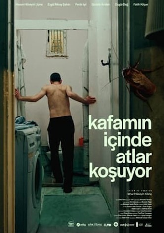 Kafamın İçinde Atlar Koşuyor