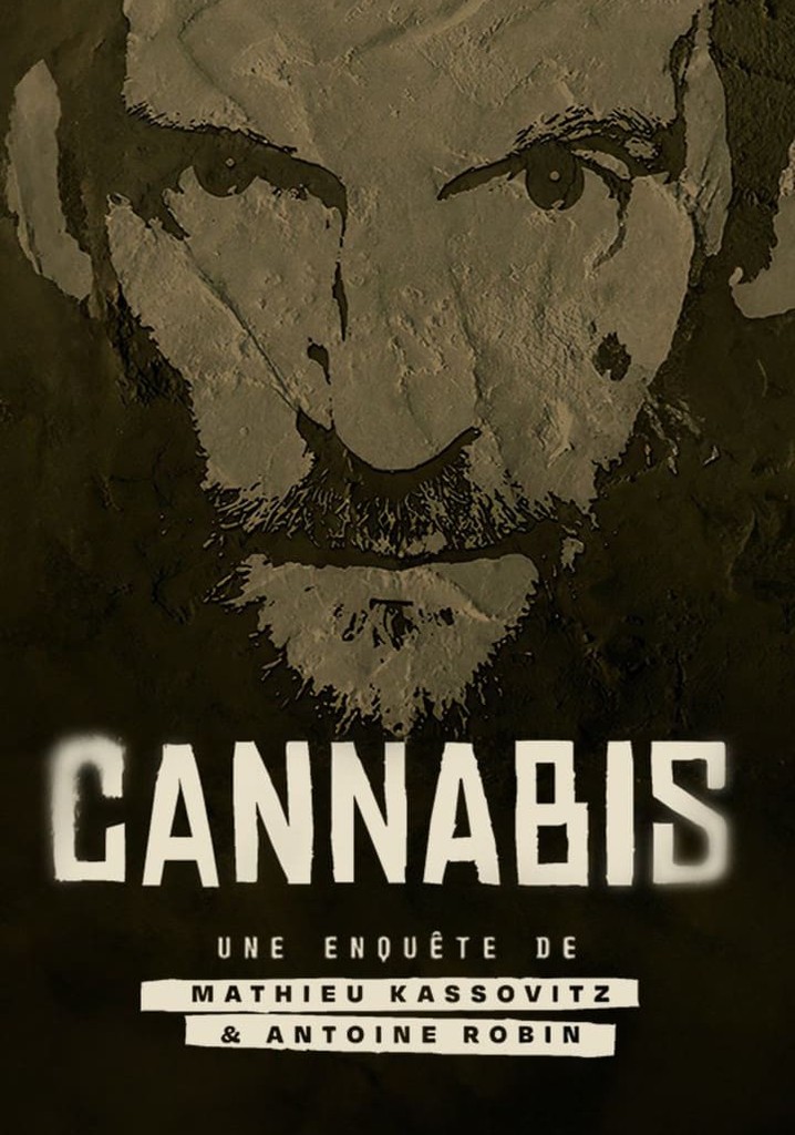 Cannabis : Une enquête de Mathieu Kassovitz et Antoine Robin