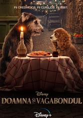 Doamna și vagabondul