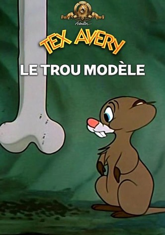 Le trou modèle