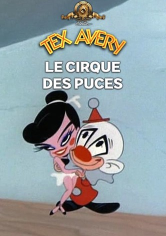 Le cirque des puces