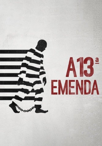 A 13ª Emenda