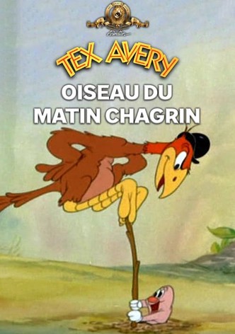 Un oiseau de mauvaise augure