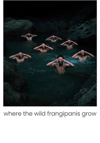 Where the Wild Frangipanis Grow
