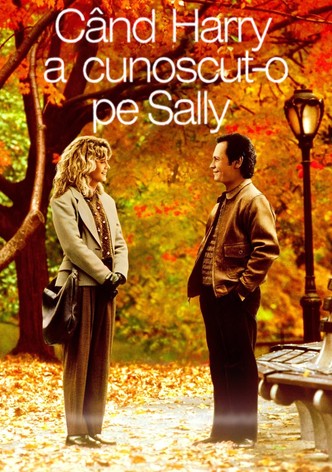 Când Harry a cunoscut-o pe Sally