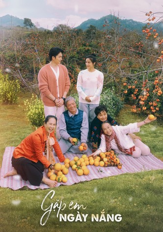 Gặp em ngày nắng