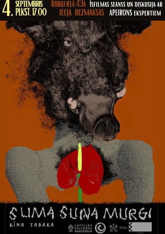 Sick Dog's Nightmares