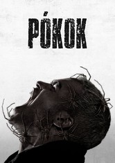 Pókok