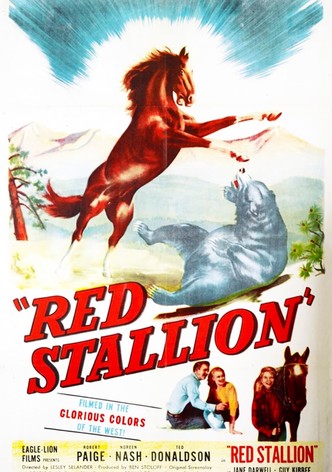 The Red Stallion