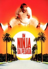 Um Ninja da Pesada