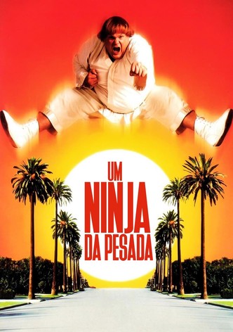 Um Ninja da Pesada