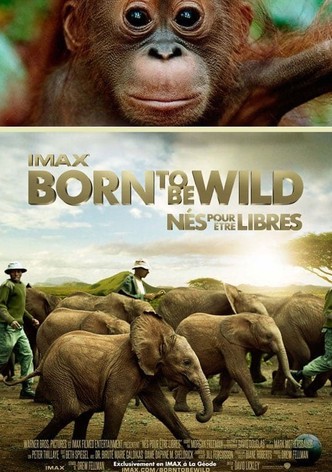 Nés pour être libres