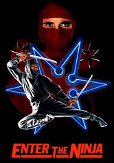 Enter the Ninja