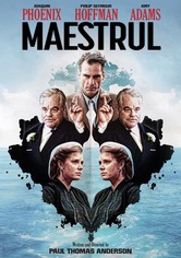 Maestrul