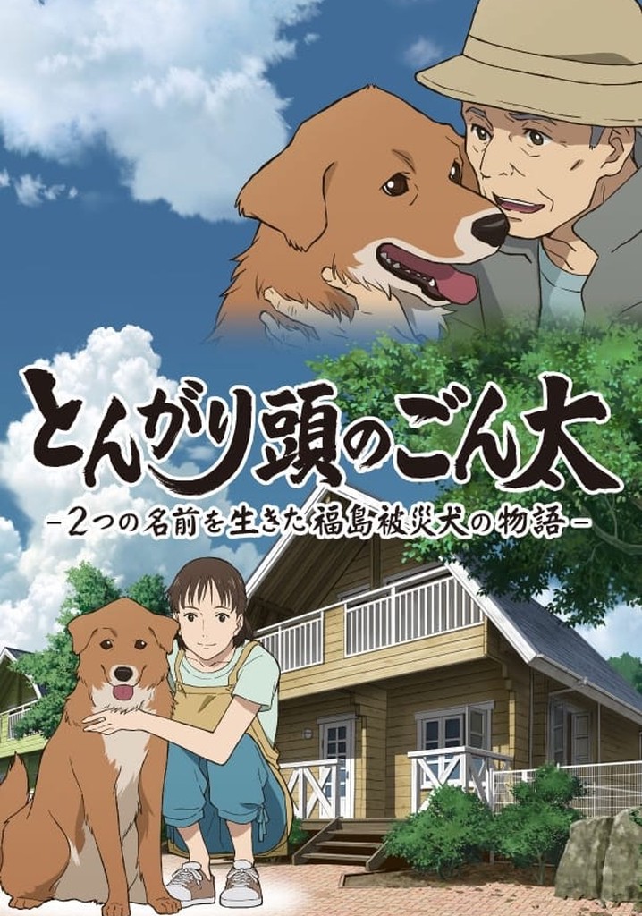 Pointy-Headed Gonta: The Story of the Two-Named Dog in the Fukushima Disaster