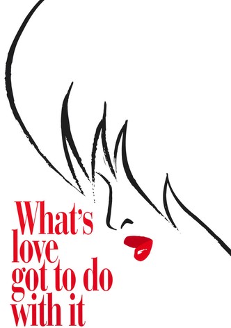 Tina Whats Love Got to Do with It