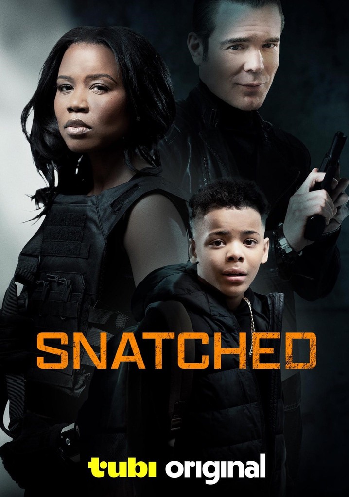 Snatched streaming: where to watch movie online?