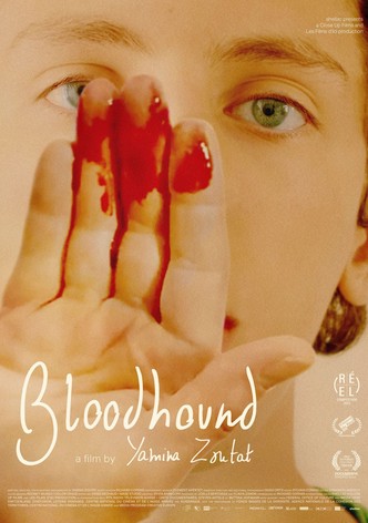 Bloodhound