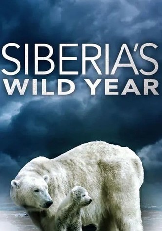 Siberia's Wild Year