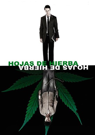 Hojas de hierba