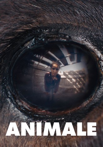 Animale