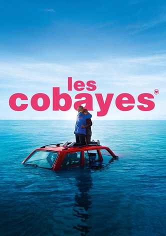 Les Cobayes