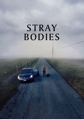 Stray Bodies