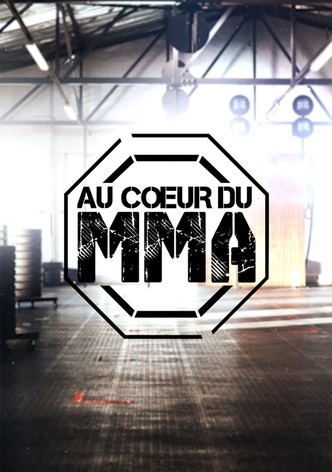 Au coeur du MMA