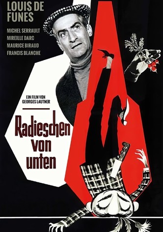 Radieschen von unten