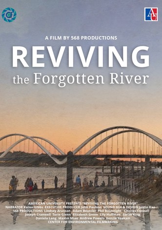 Reviving the Forgotten River