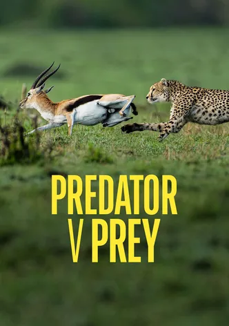 Predator v Prey poster