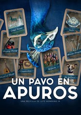 Un pavo en apuros