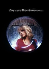 Das Rote Eichhörnchen